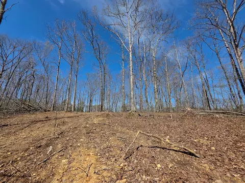 0 Highway 50 E, Centerville, TN 37033 photo 32