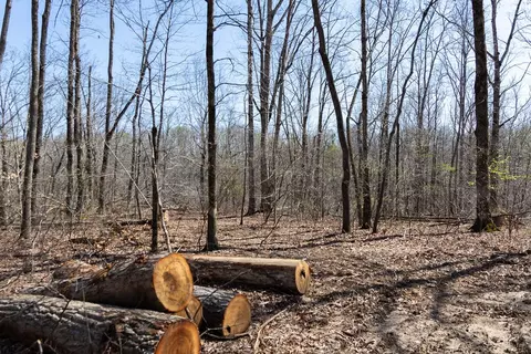 0 Highway 50 E, Centerville, TN 37033 photo 11