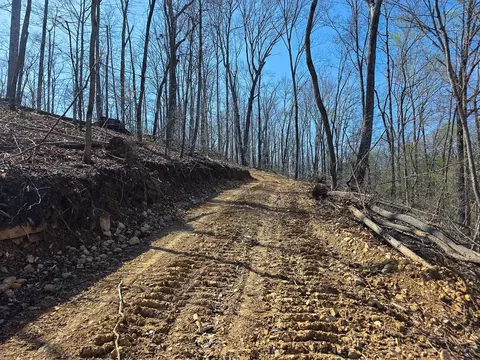 0 Highway 50 E, Centerville, TN 37033 photo 26