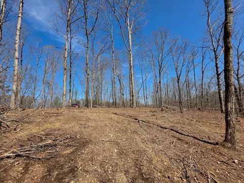 0 Highway 50 E, Centerville, TN 37033 photo 38