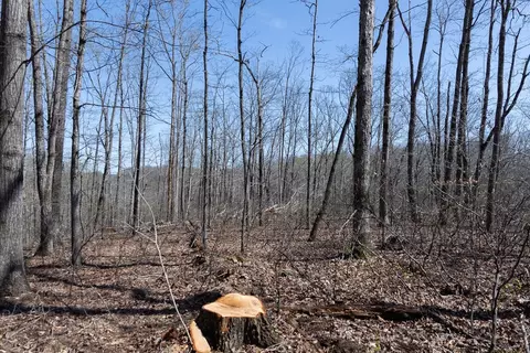 0 Highway 50 E, Centerville, TN 37033 photo 30