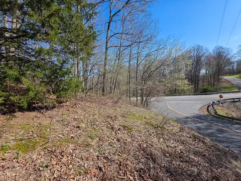 0 Highway 50 E, Centerville, TN 37033 photo 43