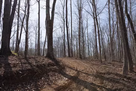 0 Highway 50 E, Centerville, TN 37033 photo 28