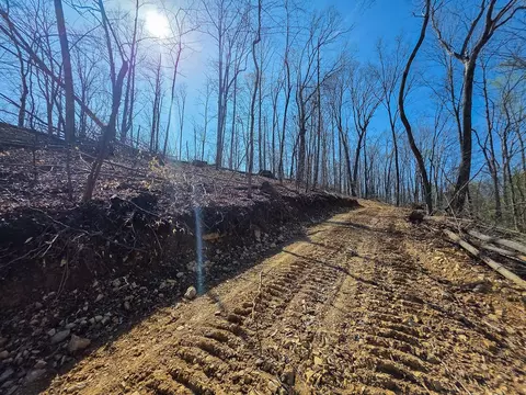 0 Highway 50 E, Centerville, TN 37033 photo 16