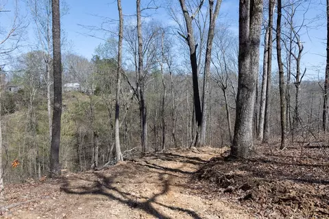 0 Highway 50 E, Centerville, TN 37033 photo 23