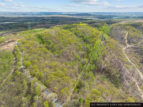 0 Nell Beard Rd, New Johnsonville, TN 37134
