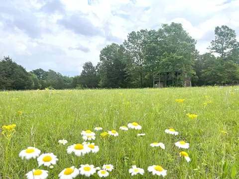 0 Manus Rd, Murfreesboro, TN 37127