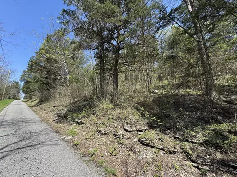 0 Curtis Rd, Watertown, TN 37184