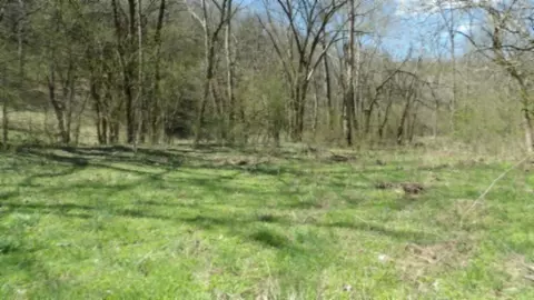 78 Ac Baugh Hollow Rd, Gainesboro, TN 38562