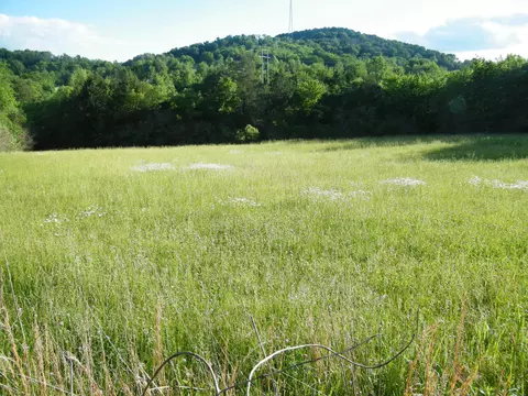 4 Sleepy Hollow Rd, Hartsville, TN 37074