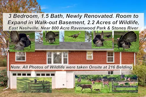 216 Belding Dr, Nashville, TN 37214