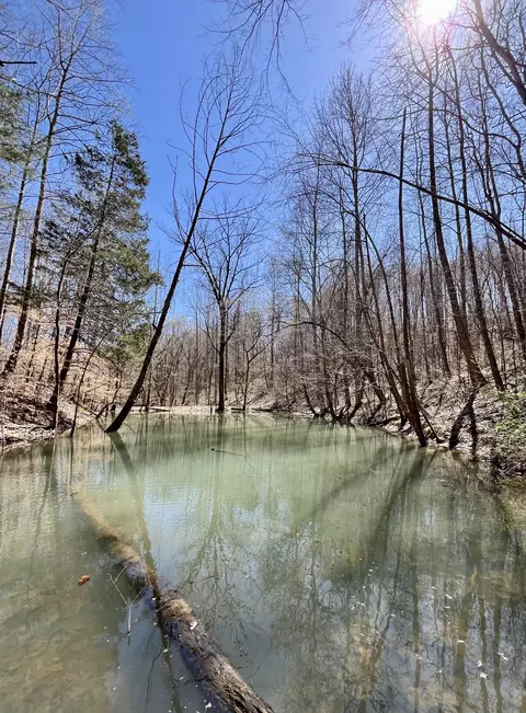 458 Rock House House Hollow Rd, Westmoreland, TN 37186