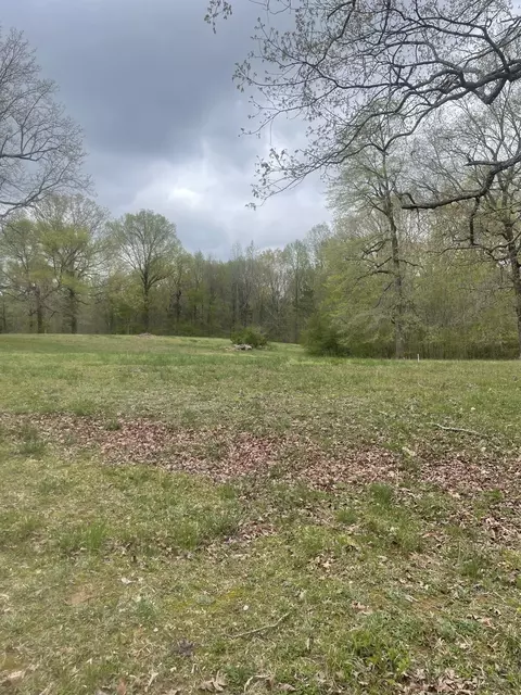 0 Cain Brake, White Bluff, TN 37187