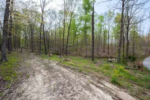 0 Norris Hollow Rd, Vanleer, TN 37181