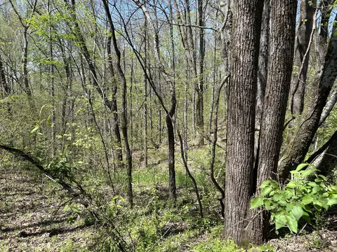 356 Munro Rd, Pulaski, TN 38478 photo 15