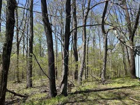 356 Munro Rd, Pulaski, TN 38478 photo 12