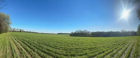 4844 Hwy 31w, Cottontown, TN 37048