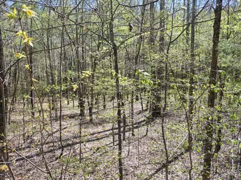 0 Roanoke Creek Rd, Collinwood, TN 38450