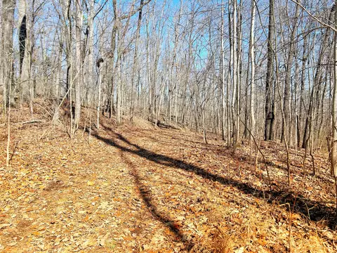 0 Browbend Dr, Guild, TN 37340