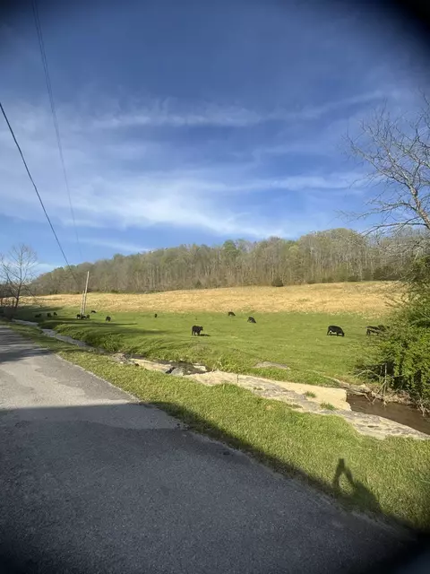 0 Tillman Hollow Rd, Wartrace, TN 37183