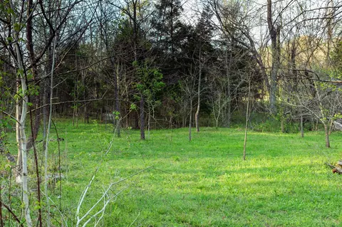 0 Rye Loop, Erin, TN 37061 photo 3