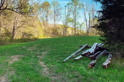 0 Rye Loop, Erin, TN 37061 photo 7