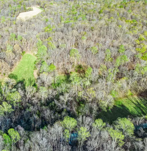 0 Rye Loop, Erin, TN 37061 photo 8