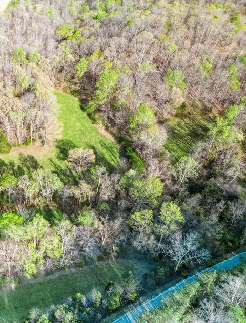 0 Rye Loop, Erin, TN 37061 photo 9