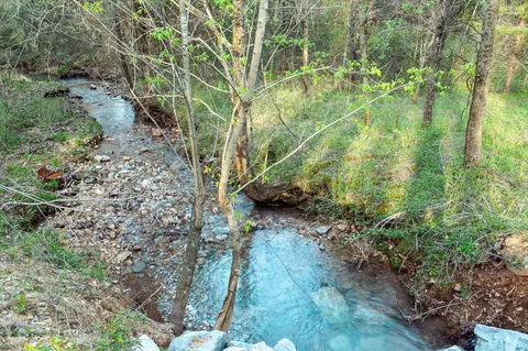 0 Rye Loop, Erin, TN 37061 photo 2
