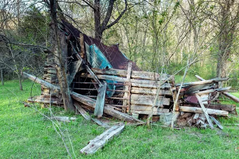 0 Rye Loop, Erin, TN 37061 photo 6
