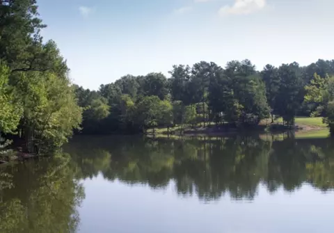View/Area - 7129 Mapleside Ln, Fairview, TN 37062 photo 2 of 4