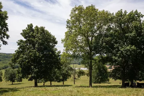 4429 Campbellsville Pike, Columbia, TN 38401