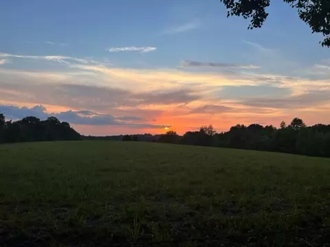7788 Bear Trce, Fairview, TN 37062 photo 30