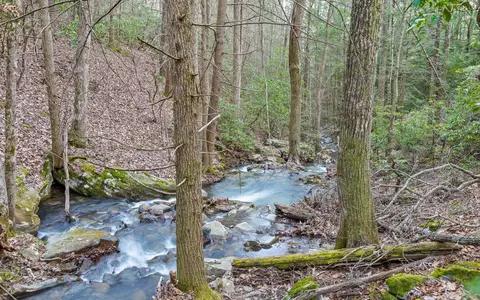 View/Area - 45 Deep Woods Dr, Dunlap, TN 37327 photo 1 of 14