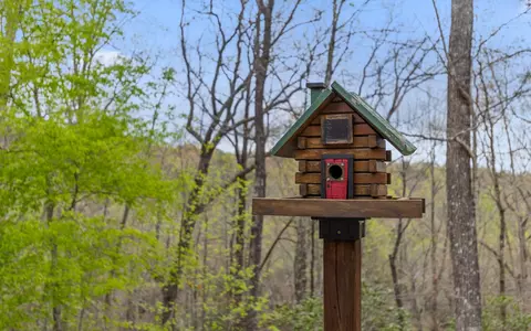 Other - 45 Deep Woods Dr, Dunlap, TN 37327 photo 11 of 15