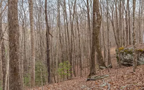 Exterior - 45 Deep Woods Dr, Dunlap, TN 37327 photo 14 of 17