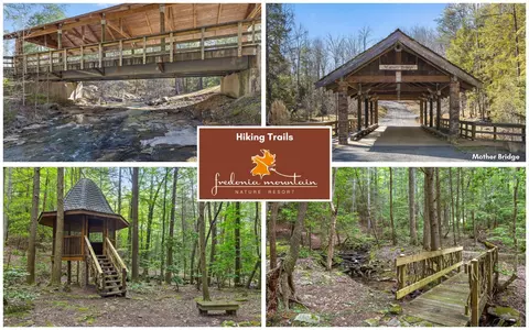 View/Area - 45 Deep Woods Dr, Dunlap, TN 37327 photo 11 of 14
