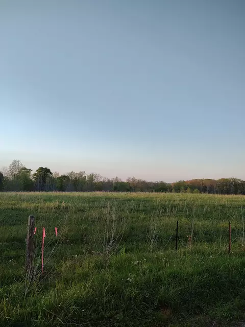 0 Pea Ridge Rd, Waynesboro, TN 38485
