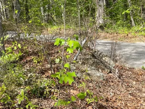 0 Hurricane Dr, Smithville, TN 37166