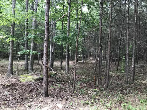 38 Quail Trl, Dunlap, TN 37327 photo 10