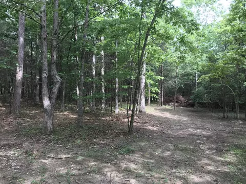 38 Quail Trl, Dunlap, TN 37327 photo 18