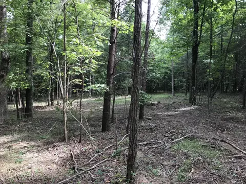 38 Quail Trl, Dunlap, TN 37327 photo 4