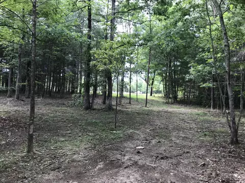 38 Quail Trl, Dunlap, TN 37327 photo 15