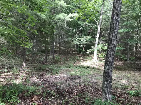 38 Quail Trl, Dunlap, TN 37327 photo 28