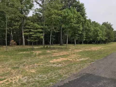 38 Quail Trl, Dunlap, TN 37327 photo 35