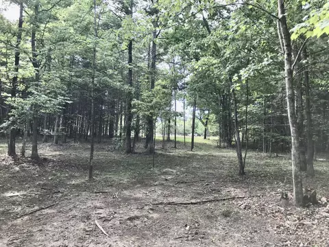 38 Quail Trl, Dunlap, TN 37327 photo 9