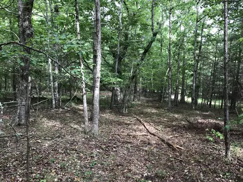 38 Quail Trl, Dunlap, TN 37327 photo 14