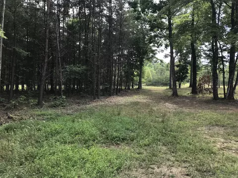 38 Quail Trl, Dunlap, TN 37327 photo 27