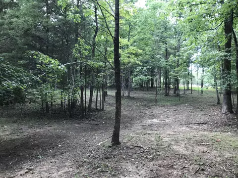 38 Quail Trl, Dunlap, TN 37327 photo 3