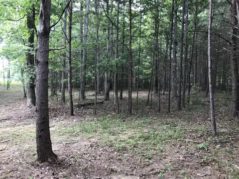 38 Quail Trl, Dunlap, TN 37327 photo 5